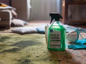 Is Mold Hiding in Your Carpet? How Experts Quickly Eliminate Hidden Dangers
